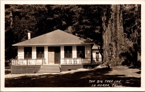 Real photo postcard the big - real,